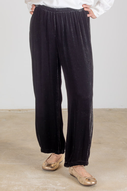 Cropped Pant with Darts